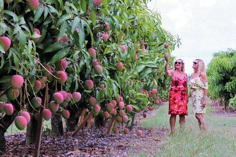 Boutique Atherton Tablelands Small-Group Food And Wine Tasting Tour From Cairns - Accommodation Adelaide 25