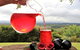 Boutique Atherton Tablelands Small-Group Food And Wine Tasting Tour From Cairns - thumb 18