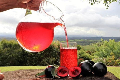 Boutique Atherton Tablelands Small-Group Food And Wine Tasting Tour From Cairns - Accommodation Adelaide 18