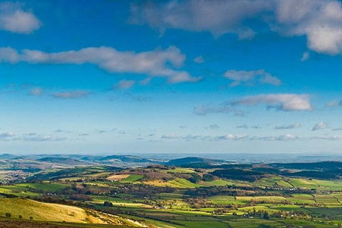 Boutique Atherton Tablelands Small-Group Food And Wine Tasting Tour From Cairns - Accommodation Adelaide 4