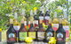 Boutique Atherton Tablelands Small-Group Food And Wine Tasting Tour From Cairns - thumb 17