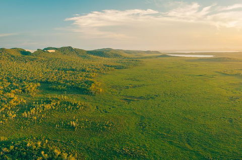 Everglades Eco Safari To Australia\'s Everglades - Accommodation Adelaide 14
