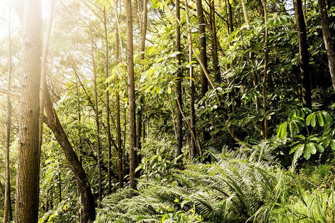 Everglades Eco Safari To Australia\'s Everglades - Accommodation Adelaide 12