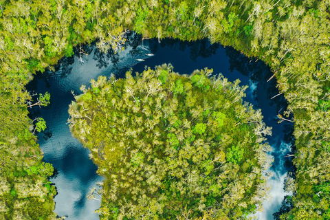 Everglades Eco Safari To Australia\'s Everglades - Accommodation Adelaide 8