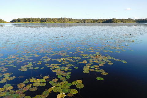 Everglades Eco Safari To Australia\'s Everglades - Accommodation Adelaide 5