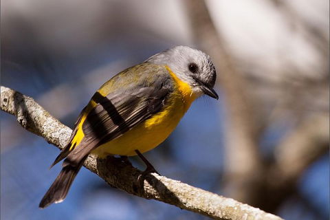 Everglades Eco Safari To Australia\'s Everglades - Accommodation Adelaide 6