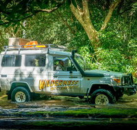 Full Day Rainforest 4WD Tour from Cairns - Accommodation Adelaide