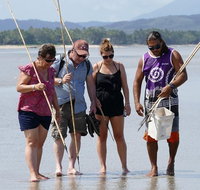 Aboriginal Cultural Daintree Rainforest Tour from Cairns or Port Douglas - Accommodation Adelaide