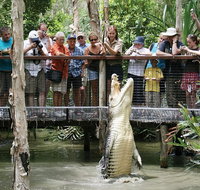 Hartley's Crocodile Adventure Half-Day Tour - Accommodation Adelaide
