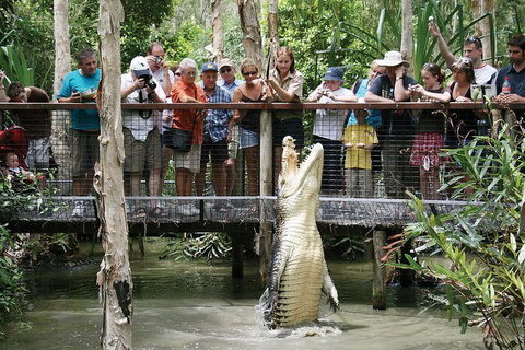 Hartley\'s Crocodile Adventure Half-Day Tour - Accommodation Adelaide 0