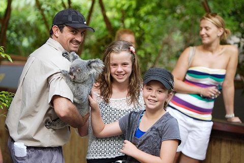 Hartley\'s Crocodile Adventure Half-Day Tour - Accommodation Adelaide 3