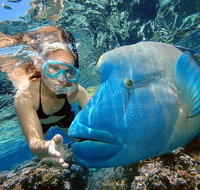 Cairns 2-Day Combo Great Barrier Reef Cruise and Kuranda - Accommodation Adelaide