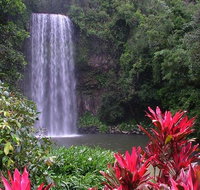 The Original Day Tour to Paronella Park Lake Barrine and Millaa Millaa Falls - Accommodation Adelaide