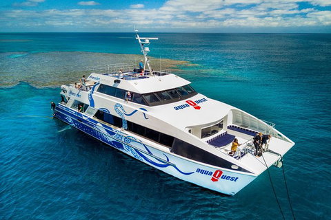 Great Barrier Reef Diving And Snorkeling Cruise From Cairns - Accommodation Adelaide 5
