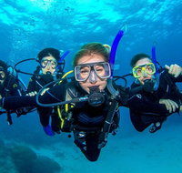 Great Barrier Reef Diving and Snorkeling Cruise from Cairns - Accommodation Adelaide