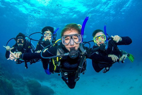 Great Barrier Reef Diving And Snorkeling Cruise From Cairns - Accommodation Adelaide 0