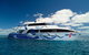 Great Barrier Reef Diving And Snorkeling Cruise From Cairns - thumb 2