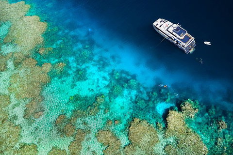 Great Barrier Reef Diving And Snorkeling Cruise From Cairns - Accommodation Adelaide 4