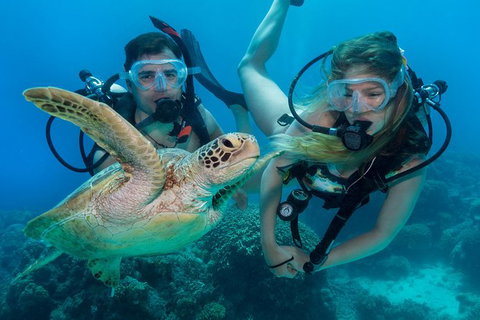 Great Barrier Reef Diving And Snorkeling Cruise From Cairns - Accommodation Adelaide 3