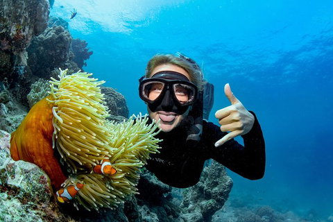 Great Barrier Reef Diving And Snorkeling Cruise From Cairns - Accommodation Adelaide 6