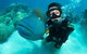 Great Barrier Reef Diving And Snorkeling Cruise From Cairns - thumb 1