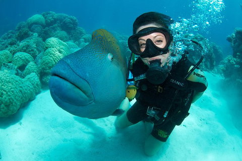 Great Barrier Reef Diving And Snorkeling Cruise From Cairns - Accommodation Adelaide 1