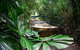 2-Day Green Island Cruise And Kuranda Day Trip - thumb 1