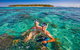 2-Day Green Island Cruise And Kuranda Day Trip - thumb 0