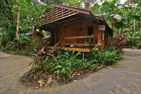 2-Day Cape Tribulation And Daintree Rainforest Tour From Cairns /Port Douglas - Accommodation Adelaide 3