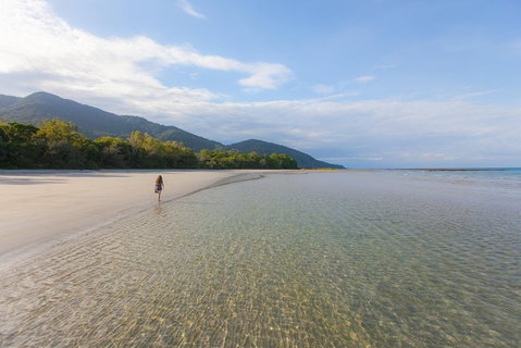 2-Day Cape Tribulation And Daintree Rainforest Tour From Cairns /Port Douglas - Accommodation Adelaide 7