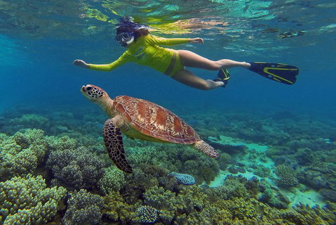 2-Day Cape Tribulation And Daintree Rainforest Tour From Cairns /Port Douglas - Accommodation Adelaide 4