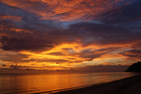 2-Day Cape Tribulation And Daintree Rainforest Tour From Cairns /Port Douglas - Accommodation Adelaide 2