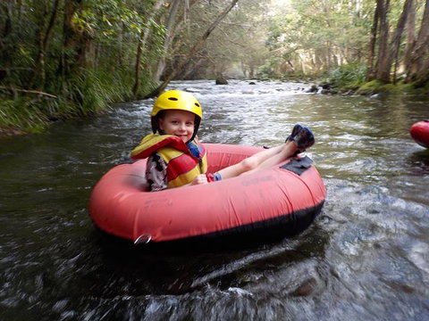 Mulgrave River Tubing From Cairns - Accommodation Adelaide 6