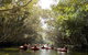 Mulgrave River Tubing From Cairns - thumb 5