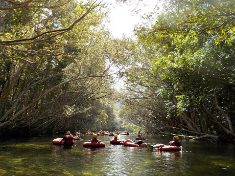 Mulgrave River Tubing From Cairns - Accommodation Adelaide 5