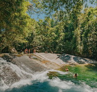 Atherton Tablelands Waterfalls and Rainforest Day Tour Departing Cairns - Accommodation Adelaide