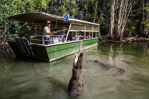 Hartley\'s Crocodile Adventures Wildlife Encounter Day Trip From Cairns - Accommodation Adelaide 2
