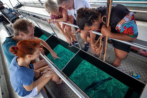 Great Barrier Reef Tour With Indigenous Sea Rangers-Dreamtime Dive And Snorkel - Accommodation Adelaide 4