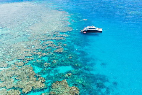 Great Barrier Reef Tour With Indigenous Sea Rangers-Dreamtime Dive And Snorkel - Accommodation Adelaide 3