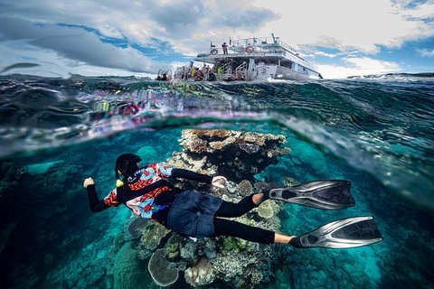 Great Barrier Reef Tour With Indigenous Sea Rangers-Dreamtime Dive And Snorkel - Accommodation Adelaide 7