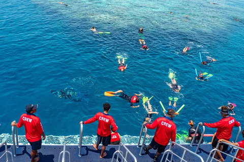 Great Barrier Reef Tour With Indigenous Sea Rangers-Dreamtime Dive And Snorkel - Accommodation Adelaide 2