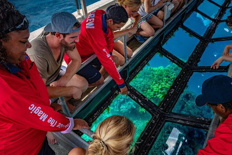 Great Barrier Reef Tour With Indigenous Sea Rangers-Dreamtime Dive And Snorkel - Accommodation Adelaide 6