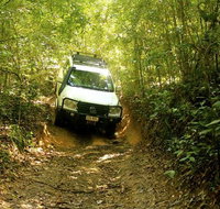 Barron Gorge and Kuranda National Park Half Day Rainforest and Waterfall 4WD Tour from Cairns - Accommodation Adelaide