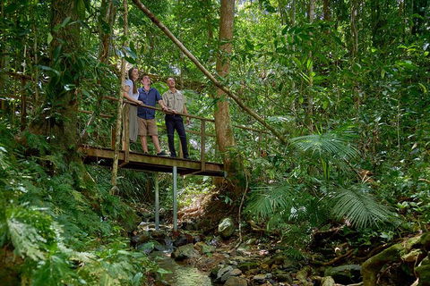 Daintree And Cape Tribulation Tour From Cairns - Accommodation Adelaide 3