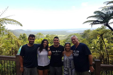 Small Group Daintree Rainforest Tour - Accommodation Adelaide 5