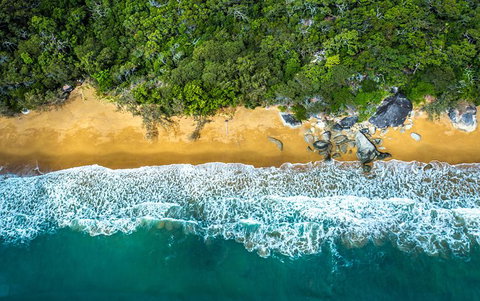 Small Group Daintree Rainforest Tour - Accommodation Adelaide 4