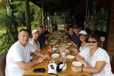 Small Group Daintree Rainforest Tour - Accommodation Adelaide 1