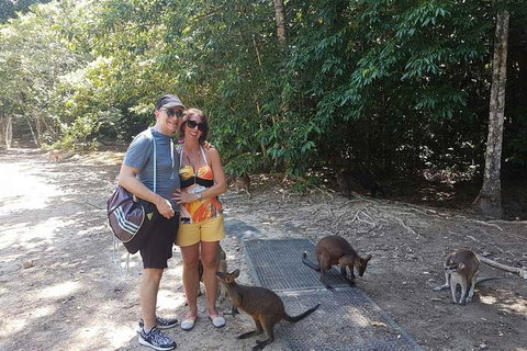 Small Group Daintree Rainforest Tour - Accommodation Adelaide 6