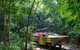 Kuranda Highlights Including Rainforestation Aboriginal Culture And Wildlife - thumb 2