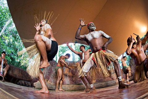Kuranda Highlights Including Rainforestation Aboriginal Culture And Wildlife - Accommodation Adelaide 3